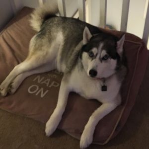 Meet your Posher, Catcatalina